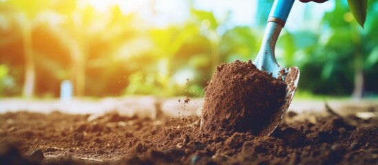 Young Girl Planting Tree: Environmental Conservation Efforts and Gardening