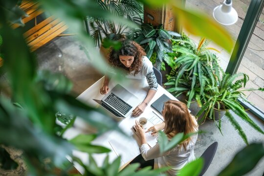 Two busy happy business women of young and middle age talking in green office sitting at desk. Professional ladies employee and manager having conversation using laptop at work. 