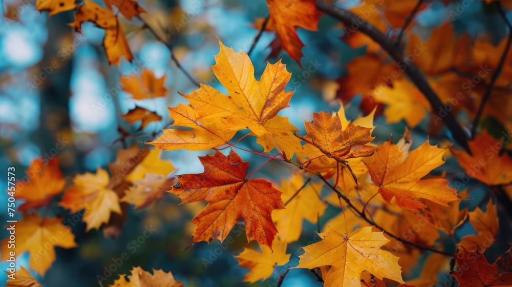 Poster detailed view of tree leaves, suitable for nature concepts