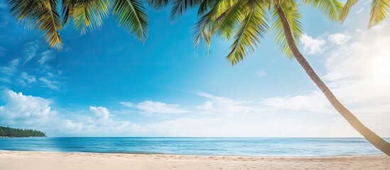 Tropical Paradise: Coconut Palm Trees on Sun-Kissed Beach with Turquoise Waters and Blue Sky