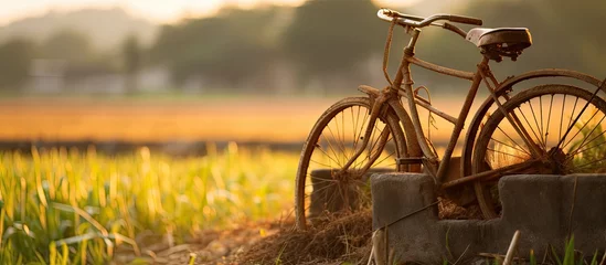 Rolgordijnen Vintage Bicycle Resting on Weathered Stone Wall Amid Rural Rice Field Landscape © HN Works