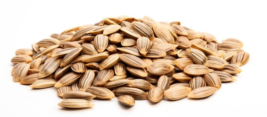 Raw and Nutritious Sunflower Seeds Arranged on a Clean White Background