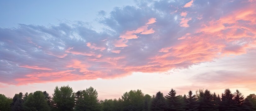 Serene Pink and Gray Sky with Dreamy Clouds and Silhouetted Tree Line at Twilight