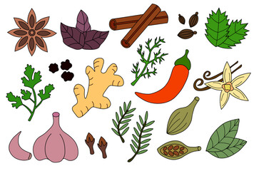 Set spices, condiments and herbs. Doodle collection icon, logo, stickers. Vector flat illustration.
