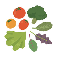 サラダのイメージイラスト