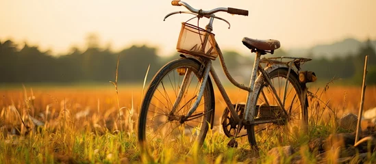 Türaufkleber Rusty Bicycle Rests in Tall Grass on the Edge of a Serene Village Road © HN Works