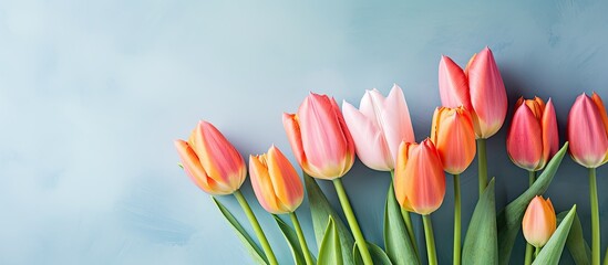 Vivid Spring Tulips Blossom in the Fresh Outdoor Air for a Charming Bouquet Display - obrazy, fototapety, plakaty