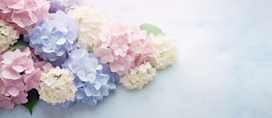 Ethereal Pink and Blue Hydrangeas in Soft Blur on Mulberry Paper Texture Background