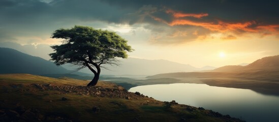 Lush Green Tree Standing Tall on a Scenic Hill Overlooking Nature's Serenity