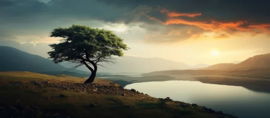 Papier Peint photo Destinations Lush Green Tree Standing Tall on a Scenic Hill Overlooking Nature's Serenity