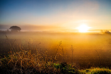 Amanece en La Marañosa