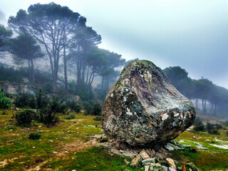 Roca dendona y niebla en el pinar