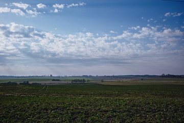 field and blue sky
