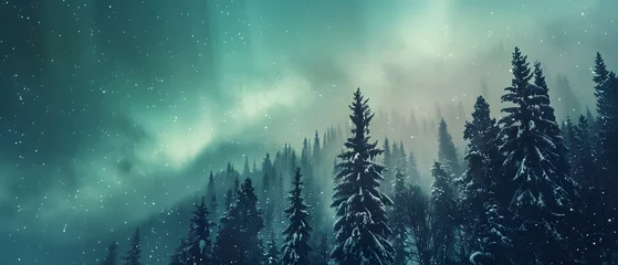 Abwaschbare Tapeten Nordlichter aurora borealis, showcasing the beauty of the cosmos