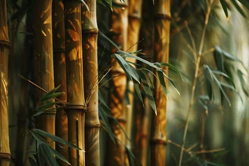 Fototapeten Bamboo grove, bamboo forest © dima040293