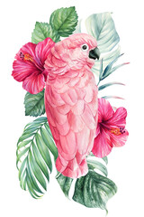 Parrot, flowers and palm leaves. Hibiscus, pink cockatoo isolated white background. Watercolor hand drawing painting