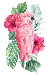 Parrot, flowers and palm leaves. Hibiscus, pink cockatoo isolated white background. Watercolor hand drawing painting © Hanna