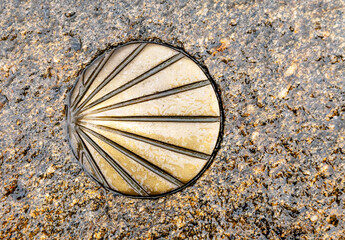 Santiago's shell on the pavement
