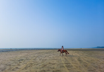 Rider galloping on horseback along the beach. Rides horse along the ocean. Pretty rider on the...