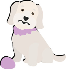 sitting dog