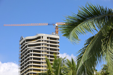 View through palm leaves to tower crane and unfinished building, construction industry in tropical country