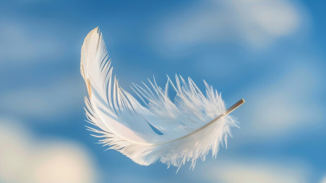 a feather in the air on blue sky background