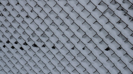 A fragment of the mesh fencing covered with adhering white snow after winter precipitation, the lattice street snowy barrier in winter as a background design of the texture, snow in the cells
