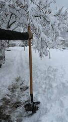 A man with a shovel standing behind the scenes after clearing snow in the garden, vertical shot, clearing snowdrifts from a backyard path with a shovel after a heavy snow storm