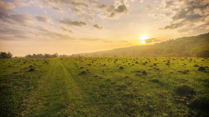 Sunset or sunrise in a spring field with green grass, willows, mist and a cloudy sky. Springtime...