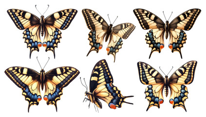 Watercolor illustration material set of swallowtail butterflies