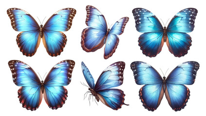 Watercolor illustration material set of Morpho butterflies
