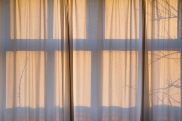 Orange early morning sunlight shines through white transparent curtains with shadows from the window frame and tree branches	