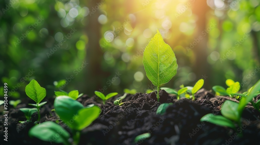 Poster goals for sustainable development. sustainable development technology.