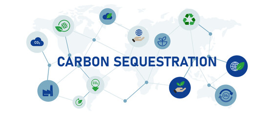 carbon sequestration ecology friendly natural environment organic conservation global