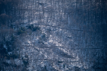 Paisaje nevado de la montaña