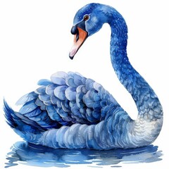 Beautiful bird white Swan gracefully floating on the lake water watercolor illustration.