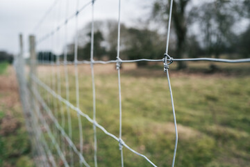 Shallow focus of a metal wire fence seen boarding a nature reserve. The boundary is used to keep wild deer in a Scottish forest.