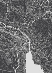 Obraz premium City map Zürich, monochrome detailed plan, vector illustration