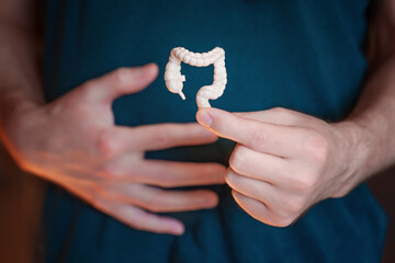 Man Having Gut Issues and Demonstrating Intestine Model