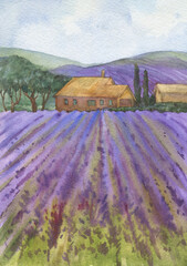Beautiful landscape, panoramic view in Provence. Colorful blooming lavender fields with rural house. Hand drawn watercolor painting. - 750503305
