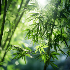 Obraz na płótnie Canvas Enchanting Bamboo Forest Imbued with Ethereal Light and Tranquility: Nature's Lush Green Cathedral