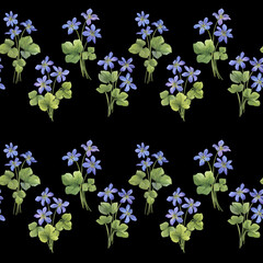 Border, seamless pattern with flowers of the blue Anemone hepatica (Hepatica nobilis, liverleaf, liverwort, kidneywort, pennywort). Watercolor hand drawn illustration isolated on black background. - 750506312