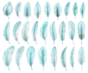 Blue bird feather watercolor illustration material set