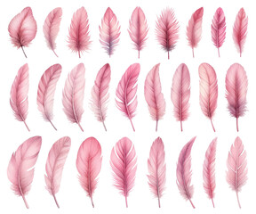 Pink bird feather watercolor illustration material set