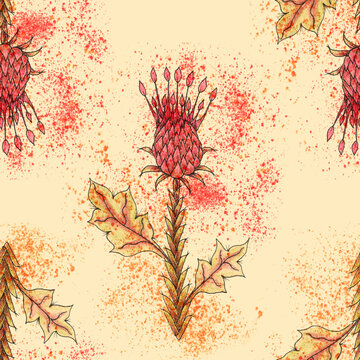 Seamless floral pattern with thistle