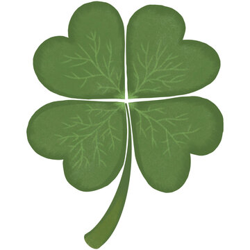 4-leaf clover, green color, hand-drawn illustration.