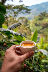 A man hand holding a cup of black coffee in a coffee plantation located in South America - 750512729