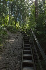 Wooden stairs along nature path near Vantaanjoki river in summer, Myllykoski, Nurmijärvi, Finland.