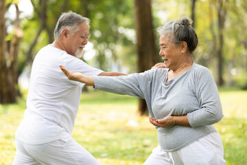 asian senior couple workout and practice tai chi in the park