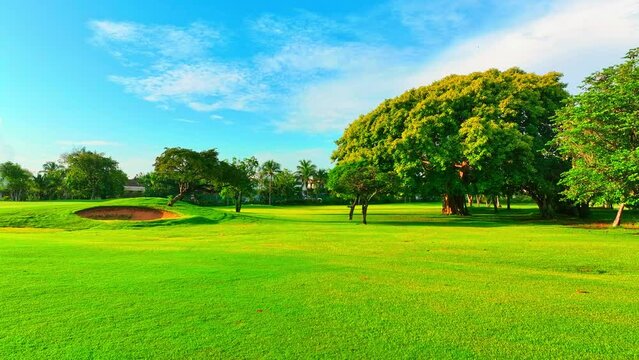 Dominican green golf course with sand trap and cloudy sky. Garden trees and grass lawn on a sunny day. Tropical park for outdoor activities. Luxurious lifestyle.